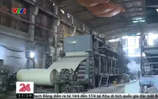 Góc khuất phía sau ngành tái chế giấy: Xuất khẩu giấy sạch, ô nhiễm ở lại