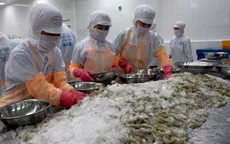 Kết luận sơ bộ vụ điều tra chống trợ cấp tôm nước ấm đông lạnh từ Việt Nam