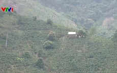 Điện Biên quyết tâm xoá bỏ hoàn toàn huyện nghèo