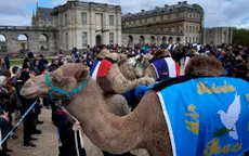 Cuộc diễu hành lạc đà nhân năm Quốc tế lạc đà 2024