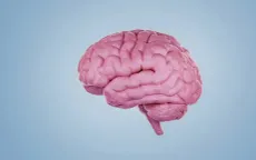 Não người không ngừng gia tăng kích thước có lợi cho việc chống lại bệnh sa sút trí tuệ