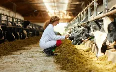 CDC Mỹ đưa ra cảnh báo y tế về cúm gia cầm ở nước này