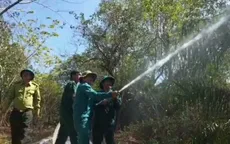 Vườn chim Bạc Liêu cảnh báo cháy rừng cấp cao nhất