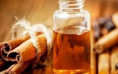 Hàng trăm tấn tinh dầu quế "tắc đường" xuất khẩu