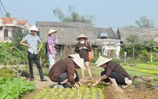Sức hút từ du lịch nông nghiệp ở Hội An
