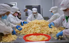 Sản phẩm từ sen rộng đường xuất khẩu