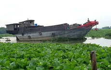 Long An: Lục bình xuất hiện tràn ngập kênh rạch, gây tắc nghẽn giao thông thủy