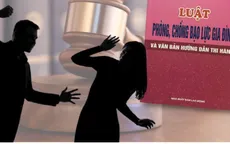 Ban hành Kế hoạch triển khai thi hành Luật Phòng, chống bạo lực gia đình