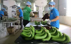 Xuất khẩu qua kênh bán lẻ ngoại, nhiều tín hiệu khả quan