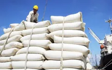Việt Nam sẽ đảm bảo xuất khẩu hơn 8 triệu tấn gạo trong năm 2024