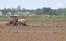 Sóc Trăng khẩn trương xuống giống lúa Hè Thu