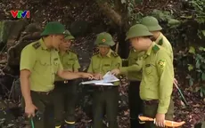 Nâng cao hiệu quả giữ rừng của kiểm lâm Việt Nam