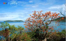 Cù Lao Chàm - Hội An kỷ niệm 15 năm được UNESCO công nhận Khu dự trữ sinh quyển thế giới
