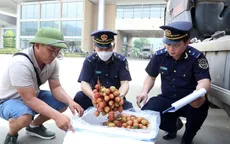 Lào Cai hỗ trợ xuất khẩu vải thiều