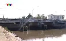 Nhà vườn thoát hạn xâm nhập mặn