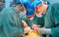 Trung Quốc lần đầu ghép thành công gan lợn chỉnh sửa gen cho người sống