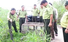 Cà Mau thả 8 cá thể kỳ đà hoa về lại với thiên nhiên