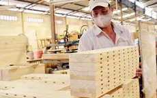 Kim ngạch xuất khẩu gỗ ước đạt hơn 6 tỷ USD
