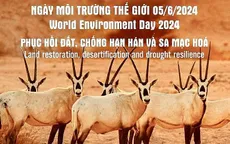 Ngày Môi trường thế giới 2024 chọn chủ đề phục hồi đất, chống sa mạc hoá