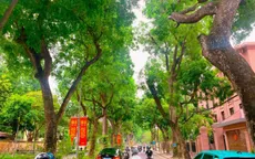 Những góc phố dịu mát giữa ngày hè ở Hà Nội