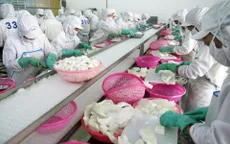 Xuất khẩu vào Mỹ: Linh hoạt nắm bắt cơ hội, thận trọng tránh rủi ro