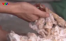 Lạng Sơn ngăn chặn gần 11 tấn chân gà đông lạnh, mốc đưa ra thị trường