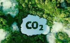 Sớm hoàn thiện đề án phát triển thị trường carbon