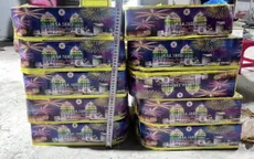 Triệt phá đường dây vận chuyển pháo nổ, thu giữ hơn 600kg pháo