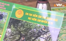 Tích cực tuyên truyền phòng chống cháy rừng trong mùa nắng nóng