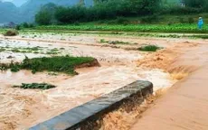 Mưa lớn kèm gió lốc gây nhiều thiệt hại tại Lạng Sơn