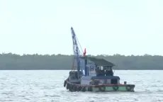 Xử lý triệt để các vi phạm về giám sát hành trình tàu cá