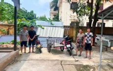 Hà Nội: Ổ nhóm cắt trộm dây cáp gây mất điện cả vùng
