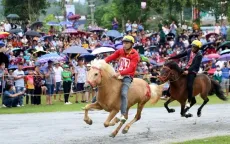 Khai màn Giải đua ngựa truyền thống huyện Bắc Hà, Lào Cai
