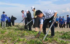 Đà Nẵng hưởng ứng Tháng hành động vì môi trường, Tuần lễ Biển và Hải đảo Viêt Nam 2024