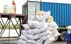 Việt Nam là đối tác xuất khẩu gạo lớn nhất của Philippines