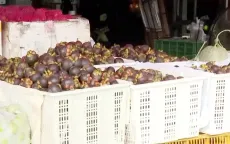 Trái cây Việt chịu áp lực ngay trên sân nhà