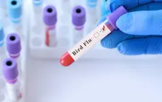 Bé gái 2,5 tuổi ở Australia nhiễm cúm gia cầm H5N1