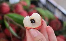 Cho trẻ con ăn vải thiều đúng cách