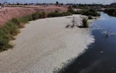 Cá chết hàng loạt ở bang Chihuahua của Mexico do hạn hán nghiêm trọng