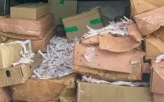 Tiêu hủy gần 20 tấn chân gà đông lạnh không rõ nguồn gốc