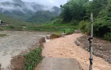 Cao Bằng : Mưa to gây thiệt hại về nhà ở, ngập úng hoa màu tại huyện Bảo Lạc