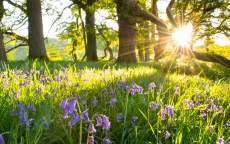 Anh ghi nhận tháng 5 và mùa xuân nóng kỷ lục