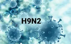 Bé trai 4 tuổi ở Ấn Độ nhiễm virus cúm gia cầm H9N2