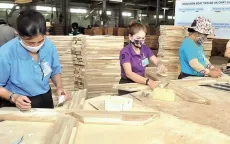 Mục tiêu xuất khẩu 17,5 tỷ USD của ngành gỗ “trong tầm tay”