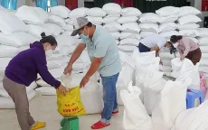 Xuất cấp gạo cho 3 địa phương dịp giáp hạt năm 2024