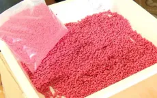 Bắt giữ đối tượng mua 24.000 viên ma túy tổng hợp từ Lào về kiếm lời