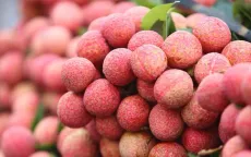 Vải thiều Việt Nam bán tại Thái Lan giá 250.000 đồng/kg