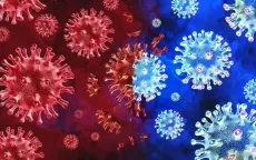 Biến thể KP.2 của virus SARS-CoV-2 đang chiếm ưu thế tại Thái Lan