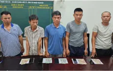 Triệt phá đường dây đánh bạc bằng hình thức chọi trâu