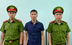 Khởi tố thêm 1 đối tượng trong vụ phá rừng làm đường dây 110kV